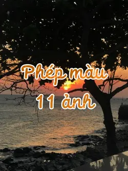 Phép màu 11 ảnh