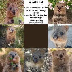 Quokka girl