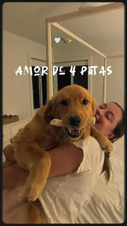 Amor de 4 patas