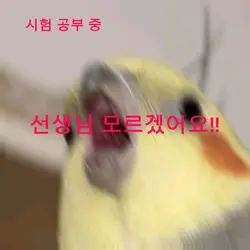 우리가 시험 할때