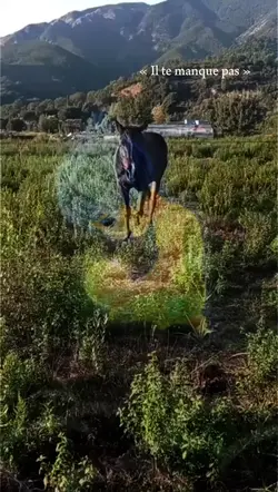 « Il te manque pas »