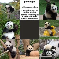 Panda girl 