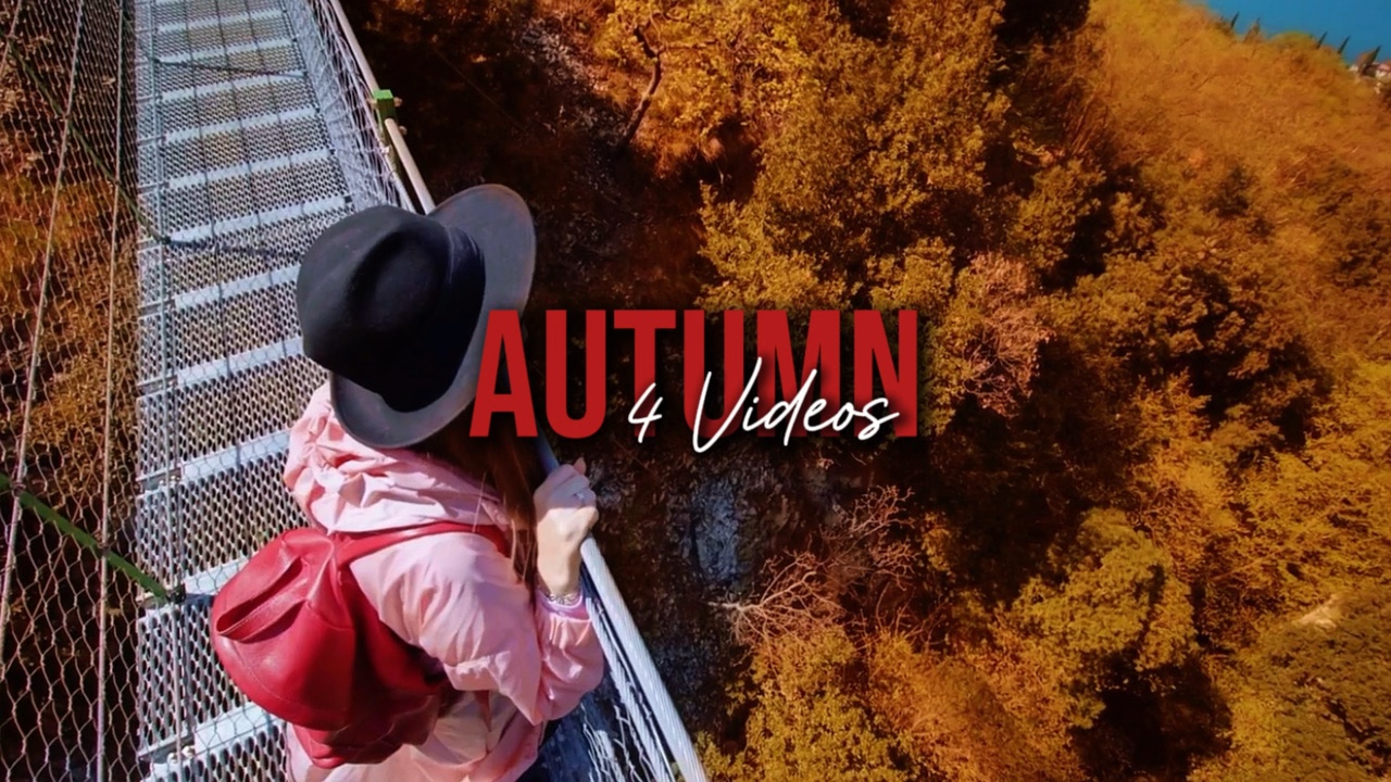 Autumn 4 Videos