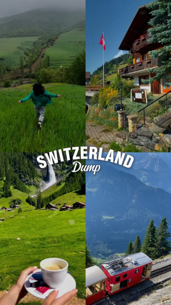 SWITZ DUMP