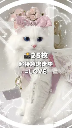 🎵超特急逃走中