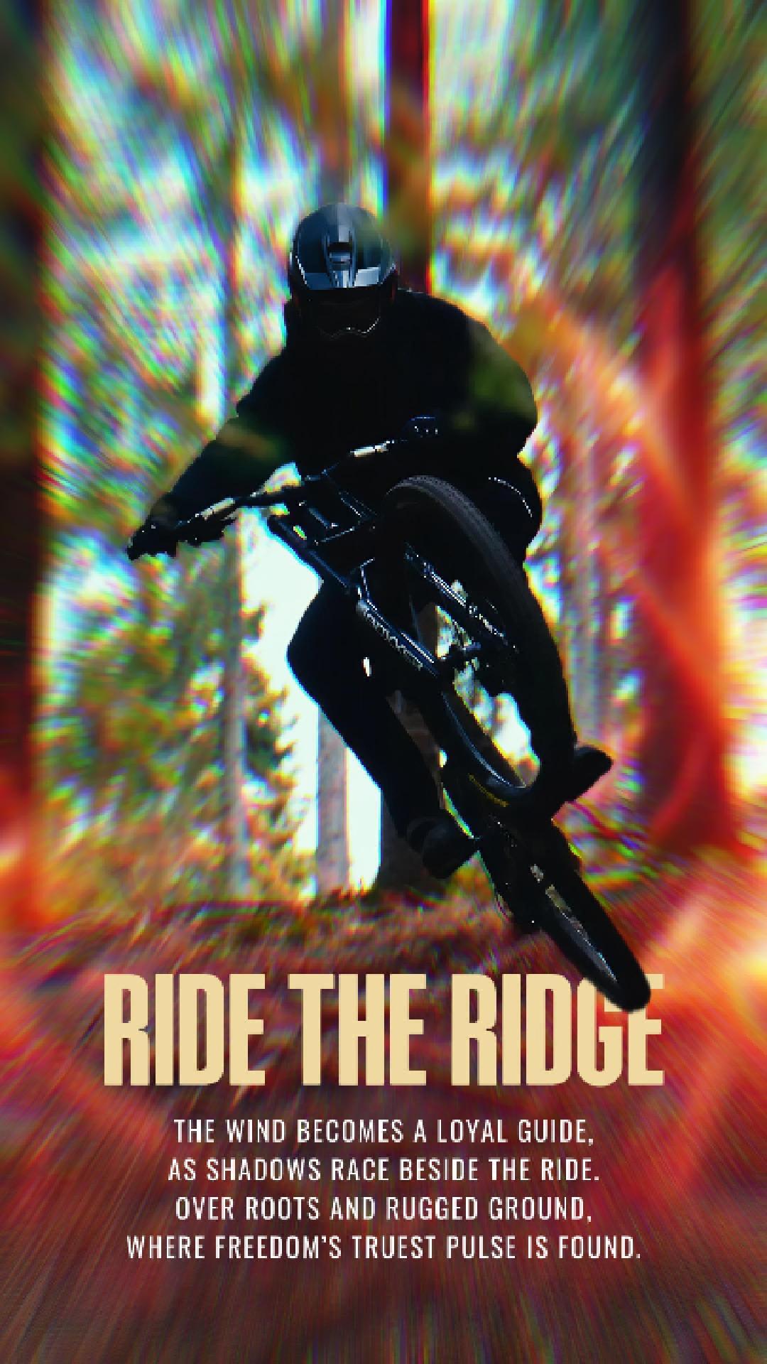 mountain bike