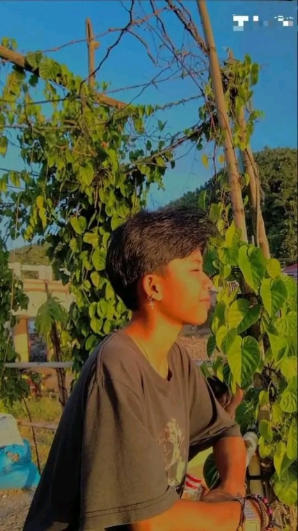 PLANTILLAS TRISTES