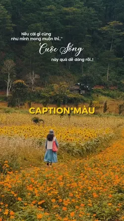 Caption Cuộc Sống.|