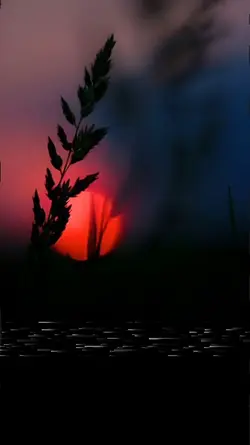 Voice video