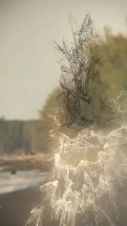 Slowmo Kamin Trend