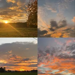 sunset