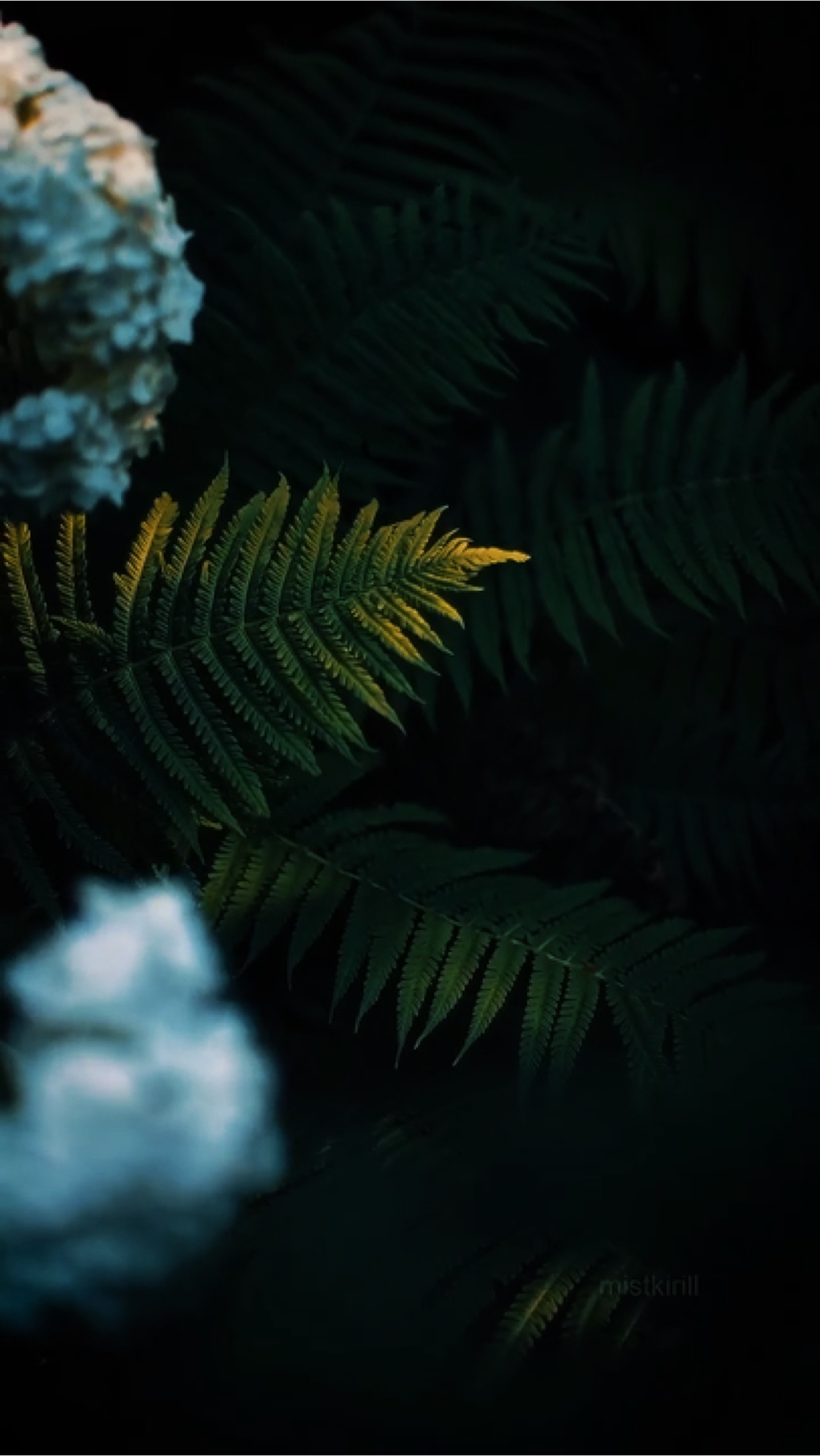 Natureza Cinematográfica