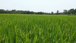 ketenangan
