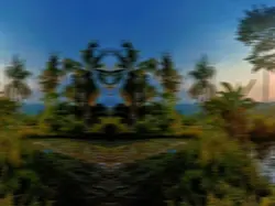 cinematik 
