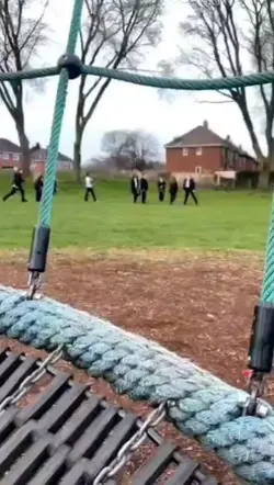 school fight