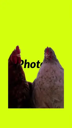The Trending Edit 