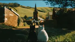 Cute Cat