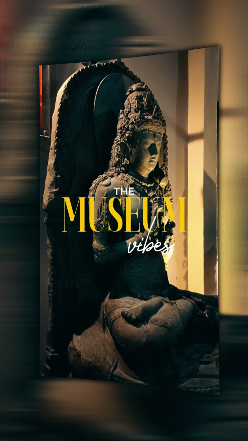 MUSEUM-Vibes