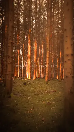 Begin a new strory