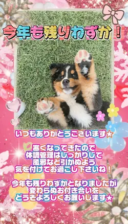 今年も残りわずか！フォロワー様へご挨拶