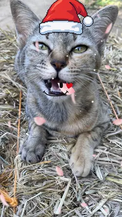 พักทุกเรื่องไว้ก่อน