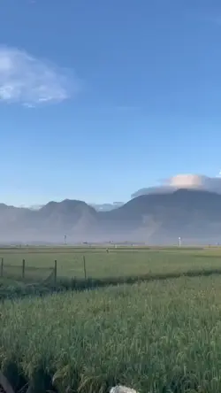 TENANG