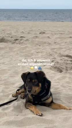 du, ich & hundii 🐾🐾