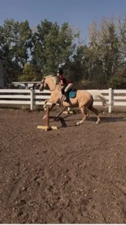 Horse riding edit