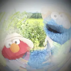 名前は片思いテンプレート