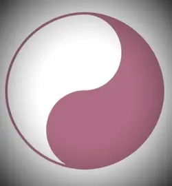 Spinning yin yang ☯️