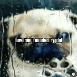 ── .₊⊹     ᶻ 𝗓 𐰁