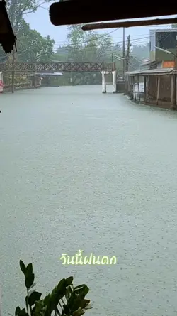 วันนี้ฝนตก