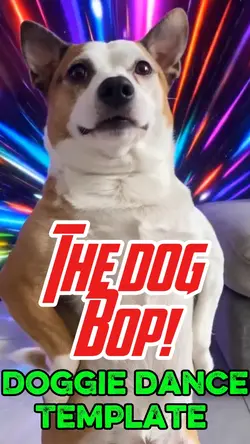 The dog bop.