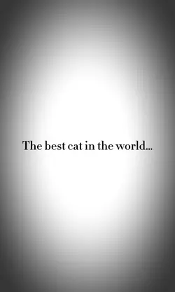 The best cat 