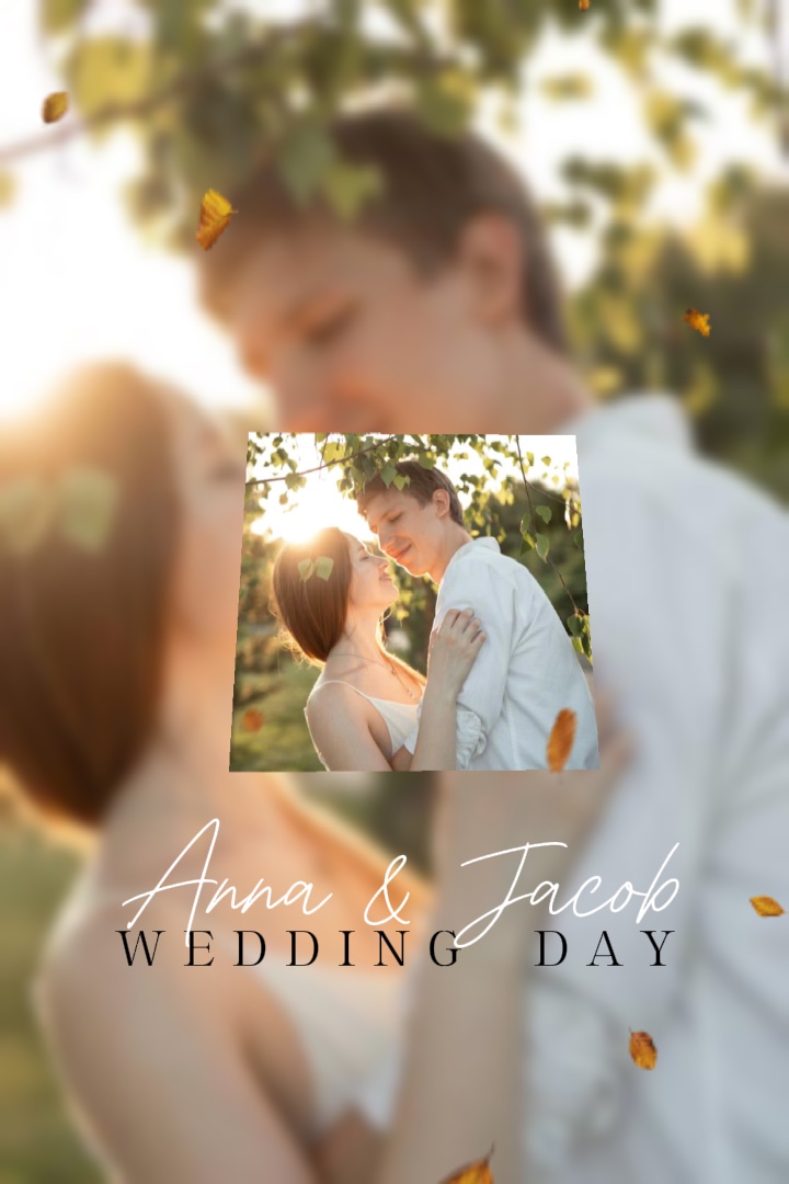 Día de la Boda
