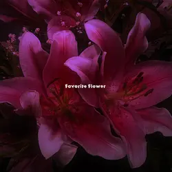 Favorite Flower