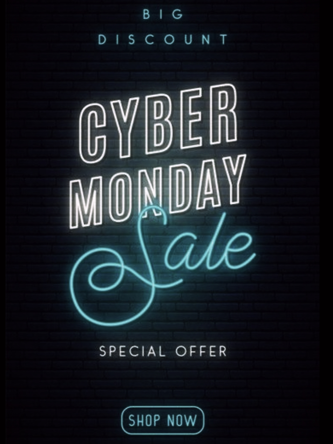 Cyber Monday Sale