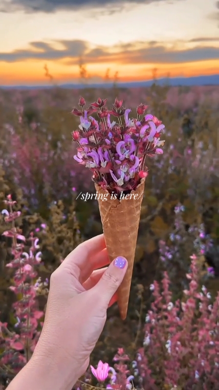 Der Frühling ist da 