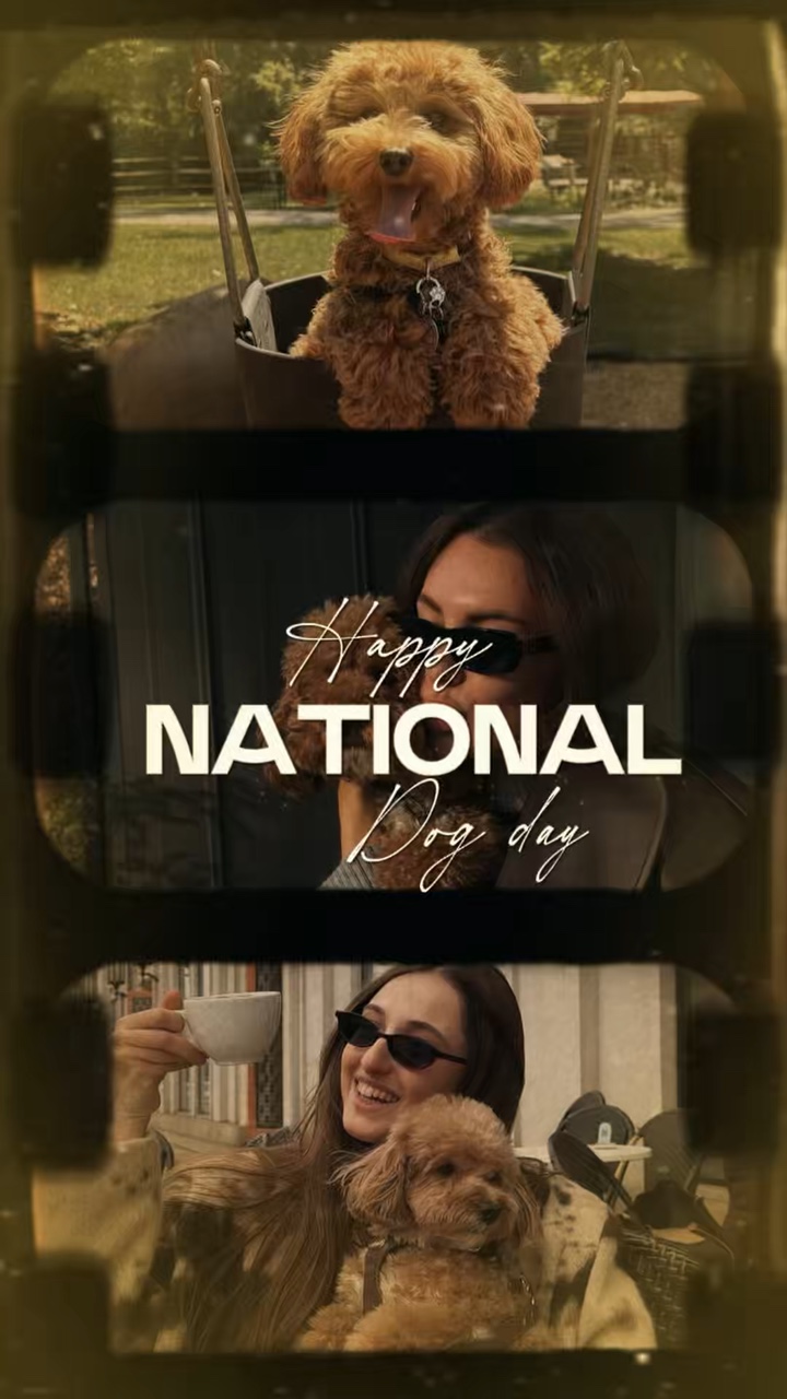 Happy National Dog 