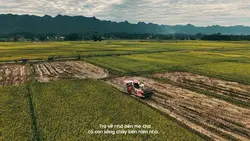 Trở về nhà bên mẹ..