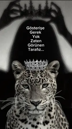 Yeni şablon