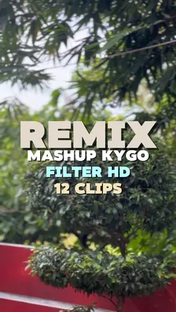Mashup KYGO