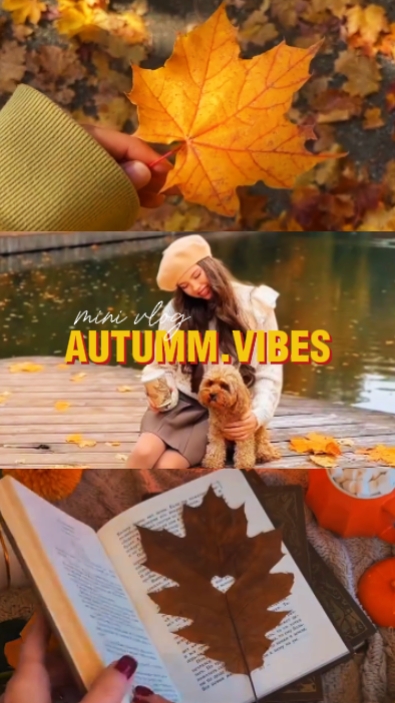 Vibras de otoño 