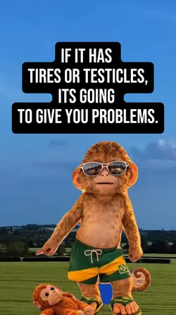 Tires or Testicles