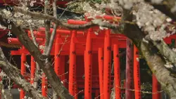 いつか日本で