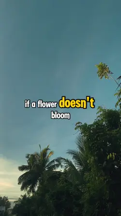 life quote 