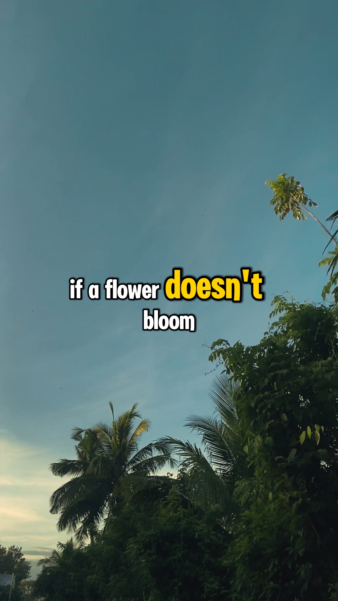 quote ng buhay 