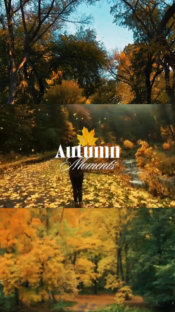 Autumn Moments