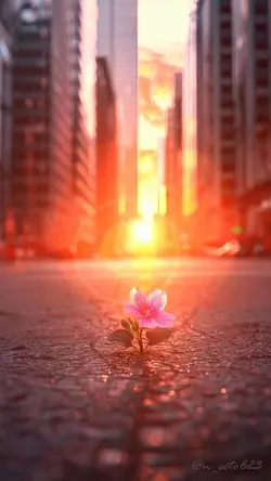 Şablon mükemelllllll