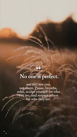 No One Is Perfect